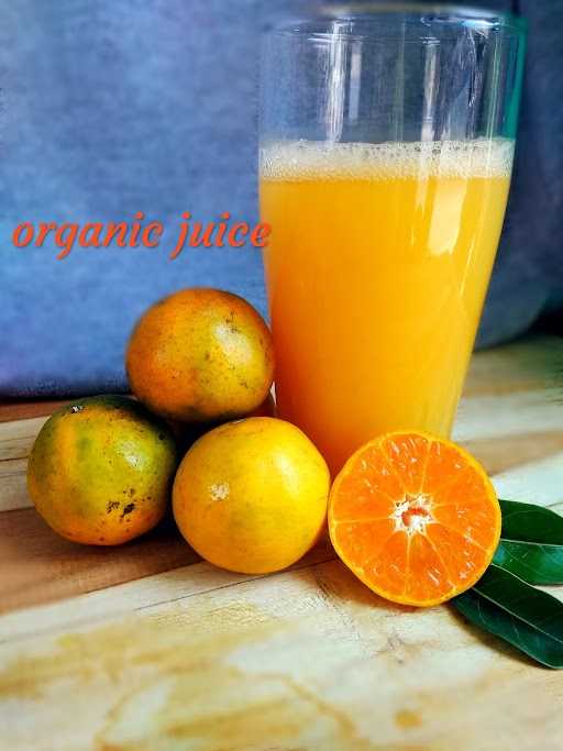 Organic Juice 4