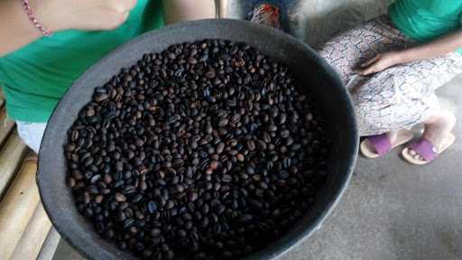 Bali Geo Luwak Coffee 5