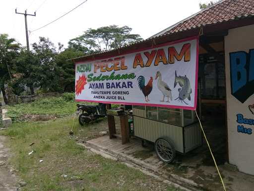 Kedai Pecel Ayam 2