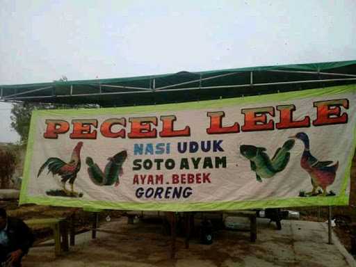 Pecel Lele Mas Narto 1 4