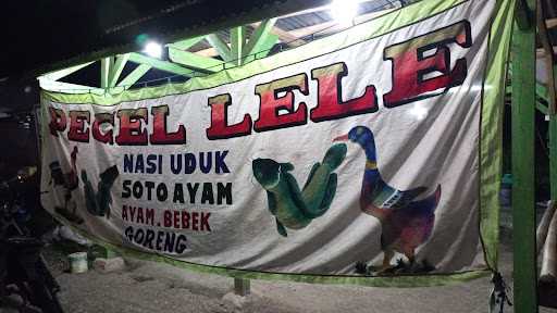 Pecel Lele Mas Narto 1 5