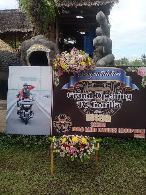 Tc Gorilla Resto 9