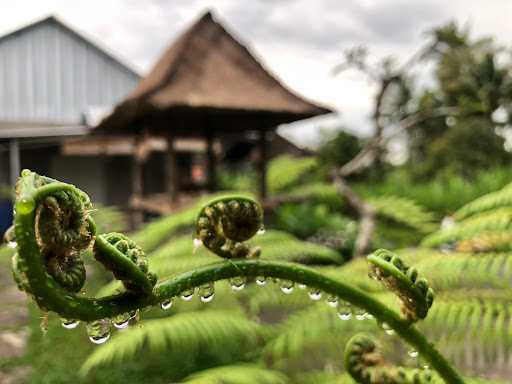 Warung Makan Apit Kuta 2