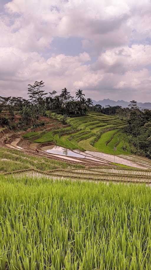 Kopi Mbah Kakoeng 6