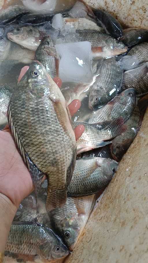 Lapak Ikan Khansa 1