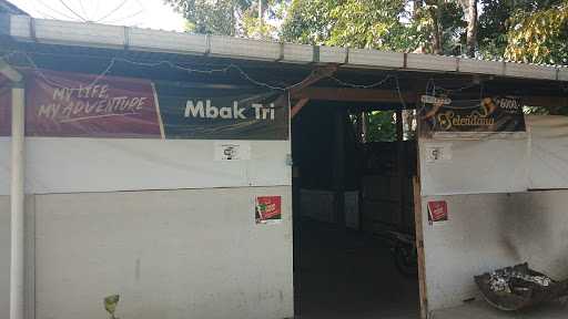 Warung Mbak Tree 3