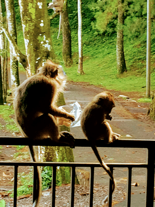 Wisata Alam Curug Nangka 8