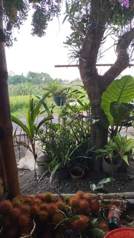 Mie Ayam Bakso Waroeng Ku Surobayan 4