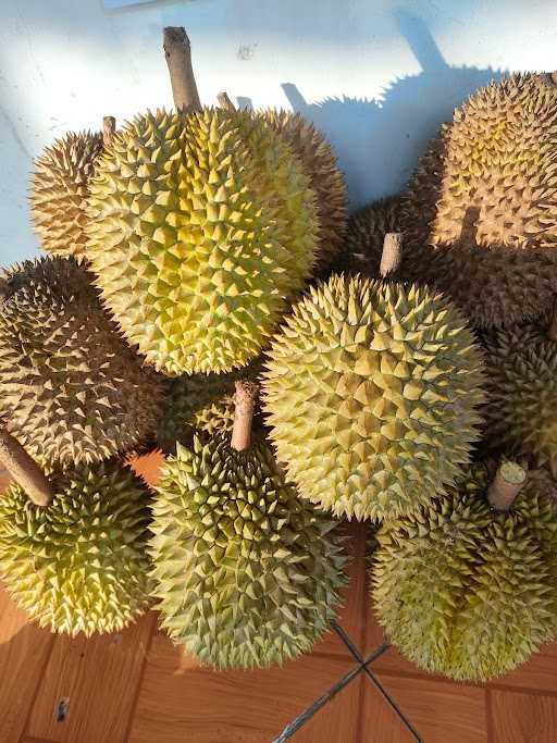 Shaka Durian 2