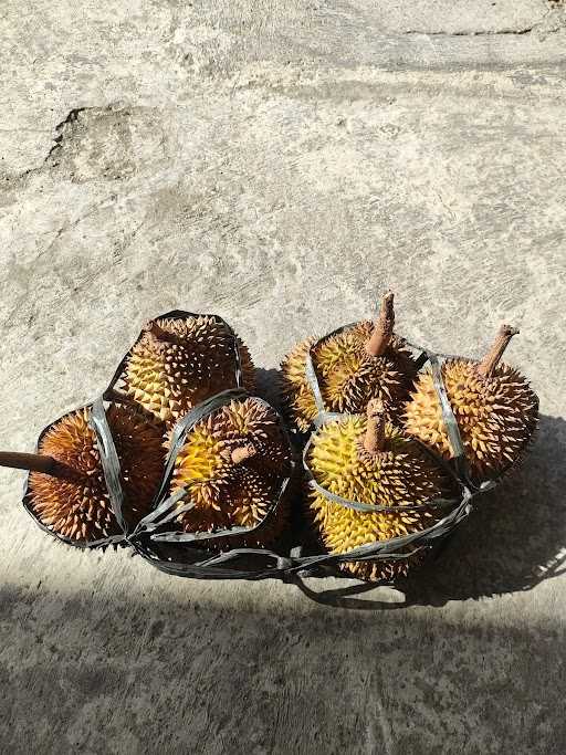 Shaka Durian 3