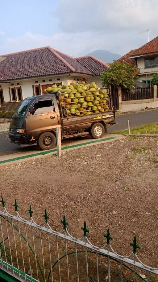 Lungsalam Kelapa Muda 1