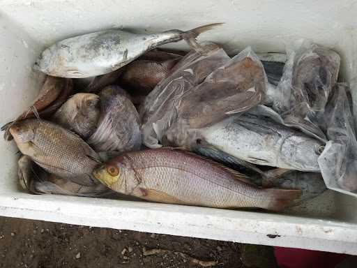 Warung Ikan Bakar Mimih Oos 2