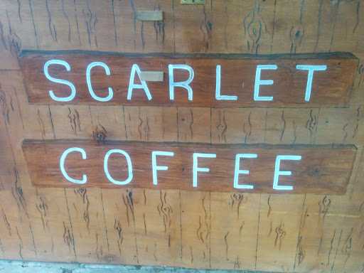 Scarlet Coffee 4