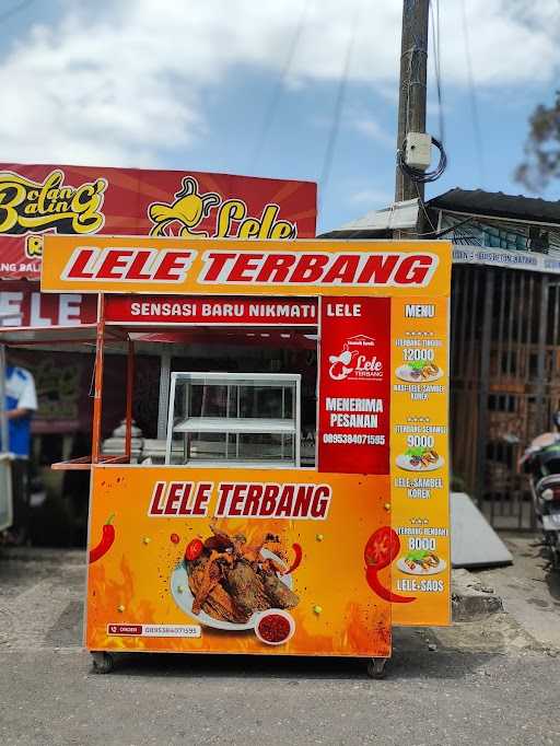 Lele Terbang Lawuh Iwak 8