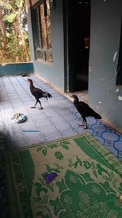 Warung Makan Bu Siti 2