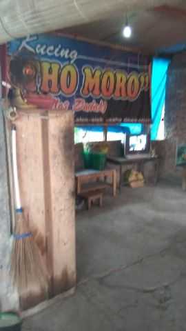 Kucingan Mas Badak Artho Moro 5