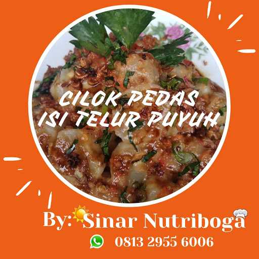 Sinar Nutriboga 7