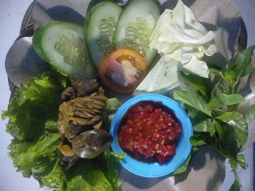 Pecel Lele Babe 6