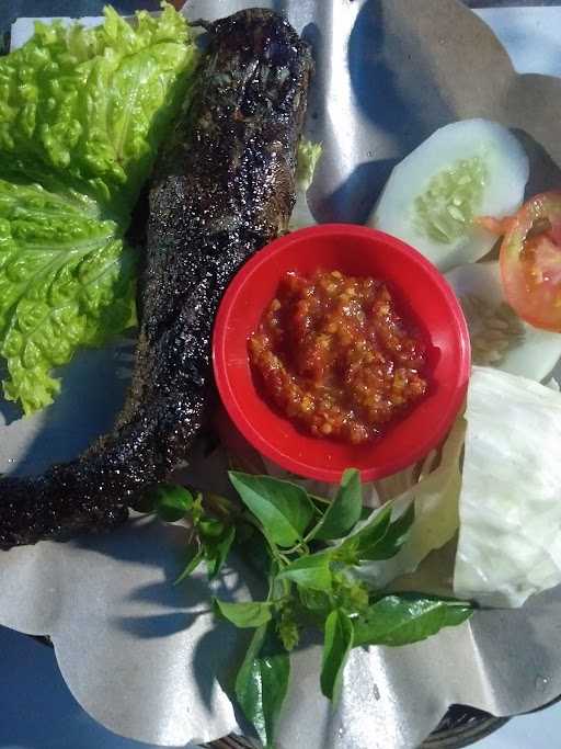 Pecel Lele Babe 5