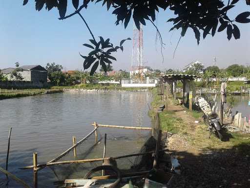 Pemancingan Nila Stasiun Jerakah 3