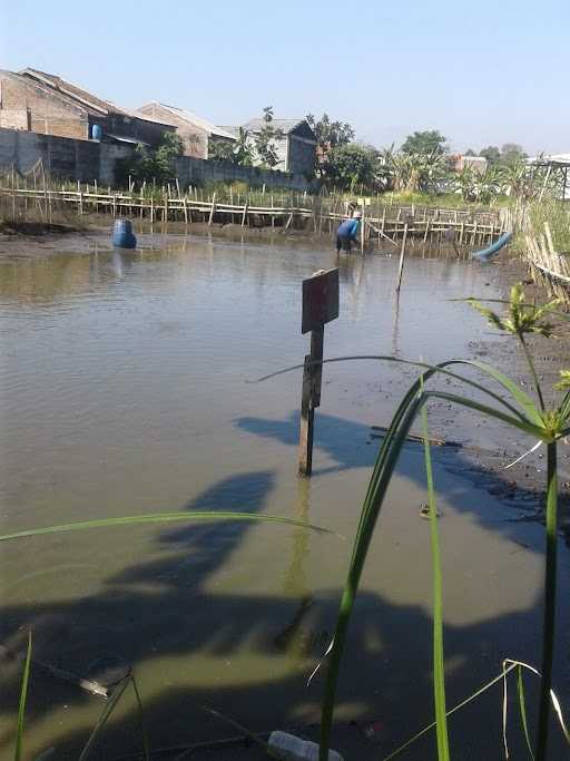 Pemancingan Nila Stasiun Jerakah 6