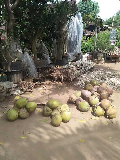 Warung Barokah 5