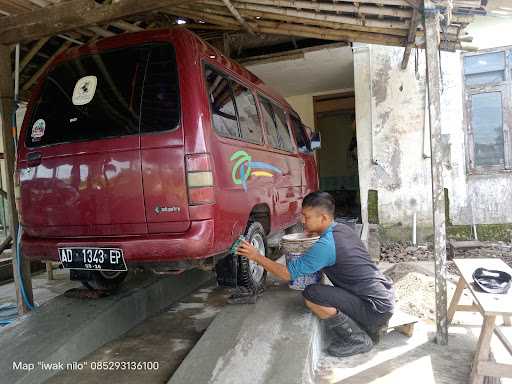 Iwak Nilo, Food & Carwash 2