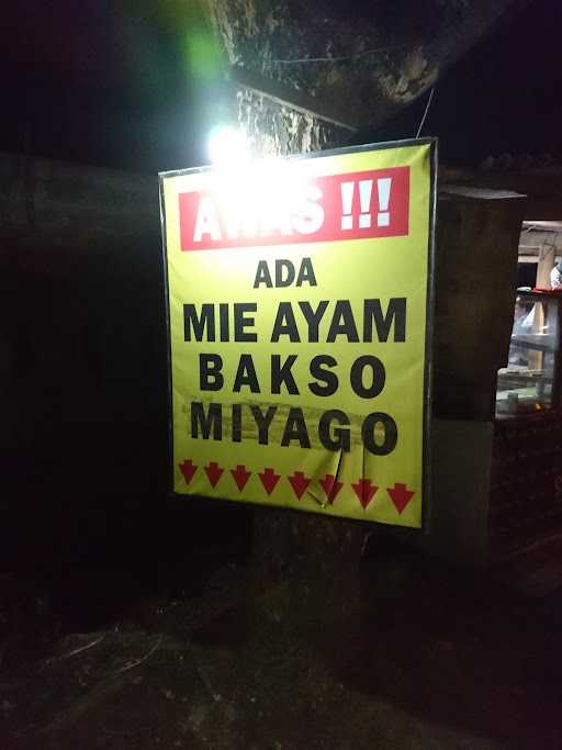 Mie Ayam Bakso Sedunia 9