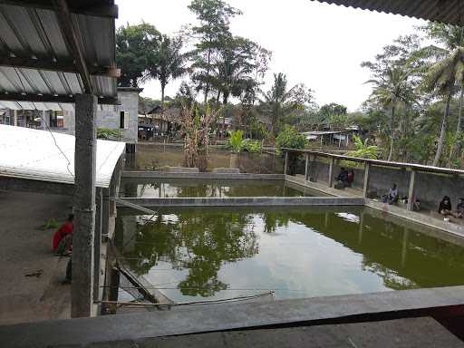 Warung Pemancingan Anisya 7