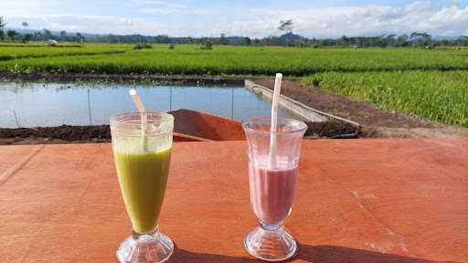 Warung Pak Untung Sanan Rejo 5