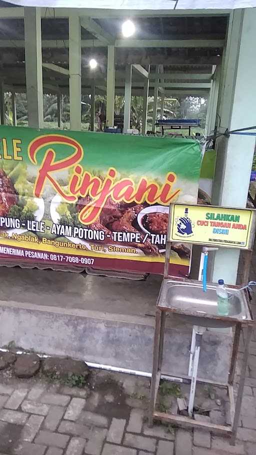 Pecel Lele Rinjani 5