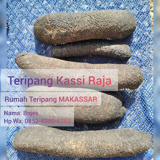 Bojes Rumah Teripang Makassar 3