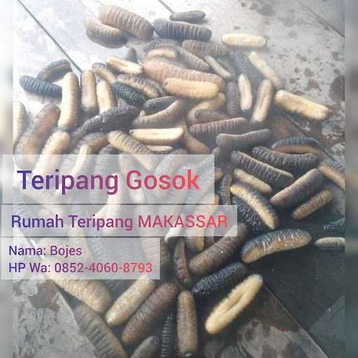 Bojes Rumah Teripang Makassar 8