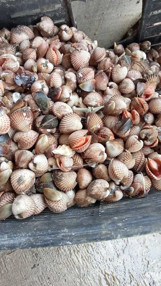 Jual Beli Udang Hidup/Mati 3