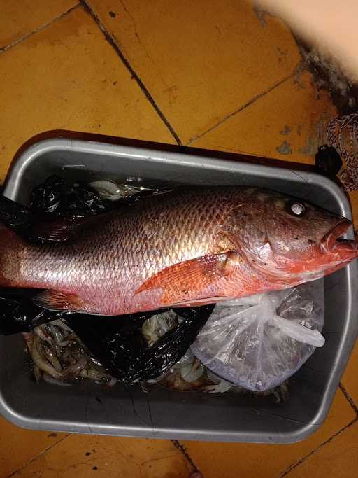 Jual Beli Udang Hidup/Mati 5