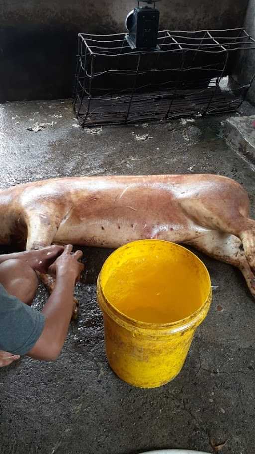 Masakan Khas Batak Rm Dainang 8