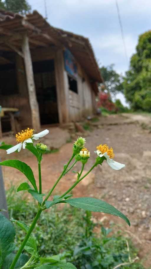 Warung Kopi Mbak Tun 9