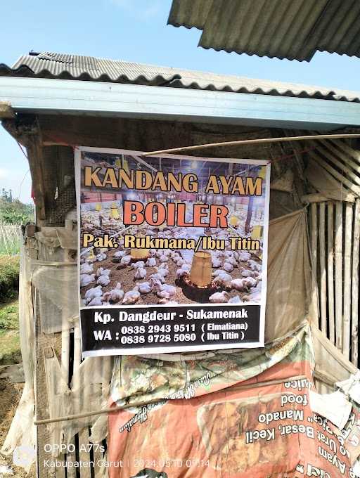 Rukmana Kandang Ayam 2