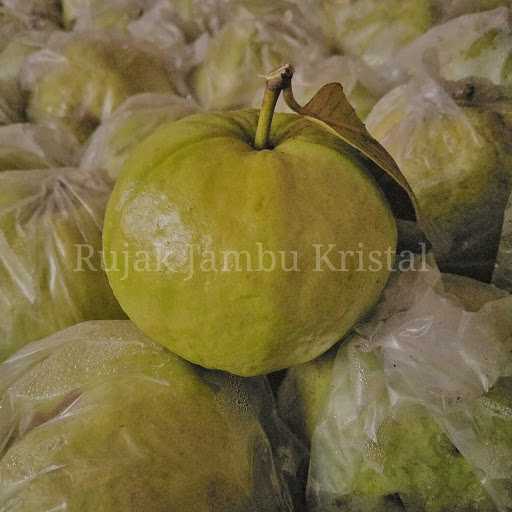 Rujak Jambu Kristal Minomi 4