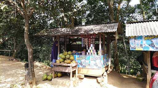 Warung Kelapa Muda Segar 2