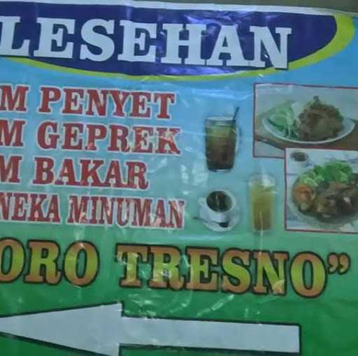 Ayam Penyet Moro Tresno 8