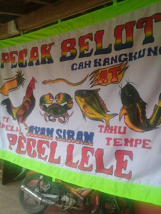 Pecak Belut Ayam Siram 8