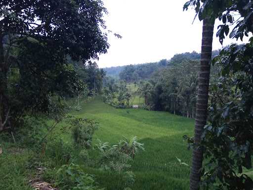 Rumah Makan Sate Pasir Karet 8