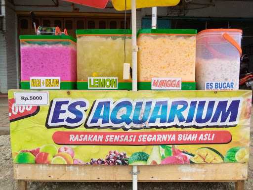 Es Aquarium Falea 1