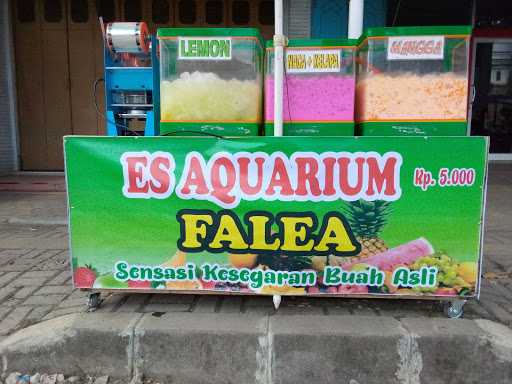 Es Aquarium Falea 3