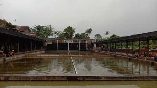 Taman Pemancingan Saung Ico 7