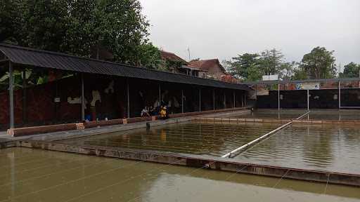 Taman Pemancingan Saung Ico 10