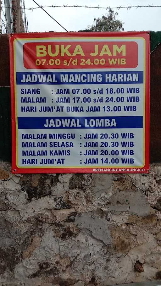 Taman Pemancingan Saung Ico 8