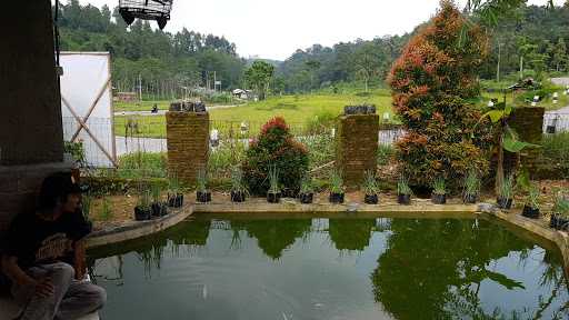 Rumah Makan Bambu Kuning 9