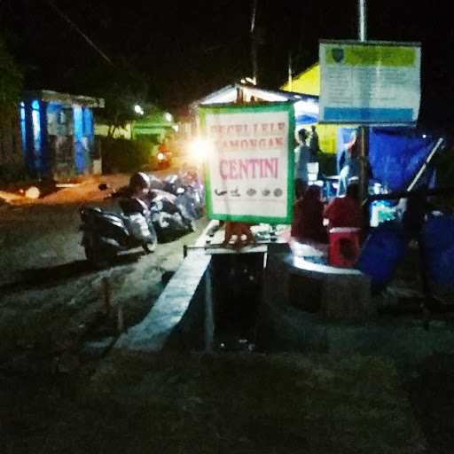 Pecel Lele Lamongan Centini 1